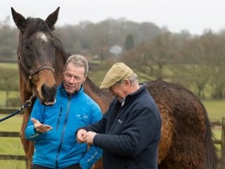 Rough Quest in fine form, 20 years on from National glory